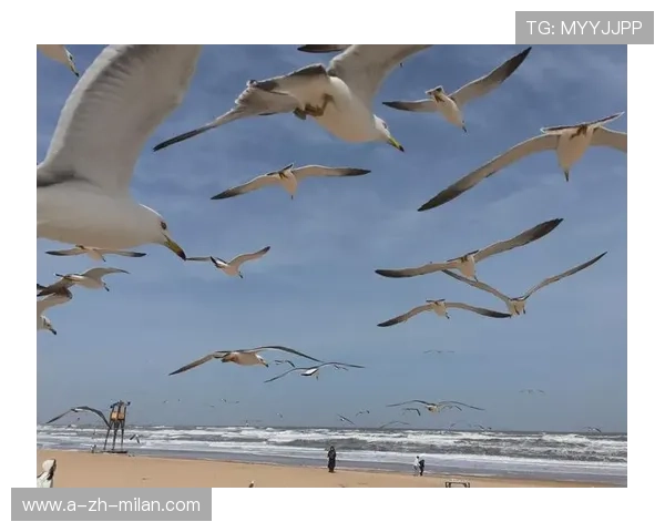 _蓝色海域滑翔：在海浪中自由飞翔_，蓝色的海域
