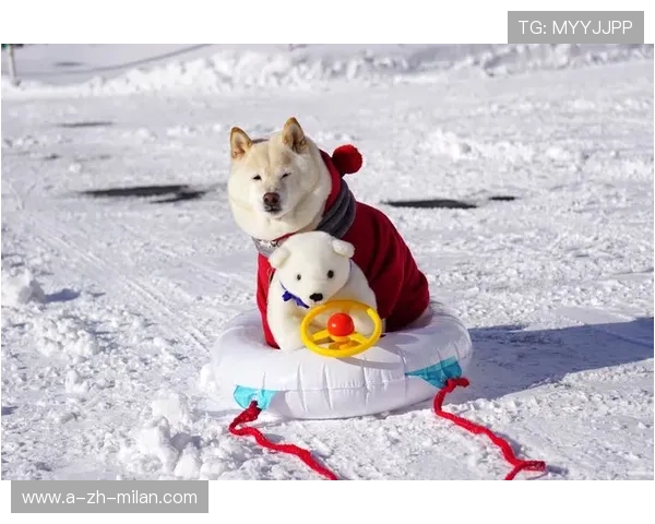大谷翔平晒出爱犬新照！远征多伦多一同见证封王时刻，大谷翔平2021数据