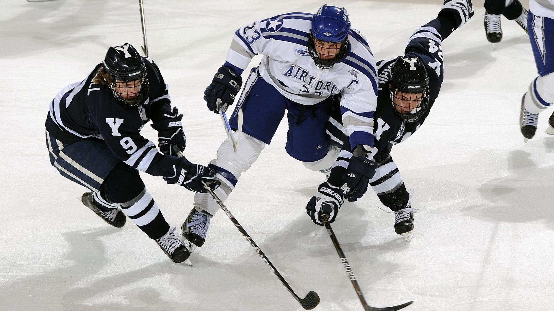 体育赛事门票销售数据报告